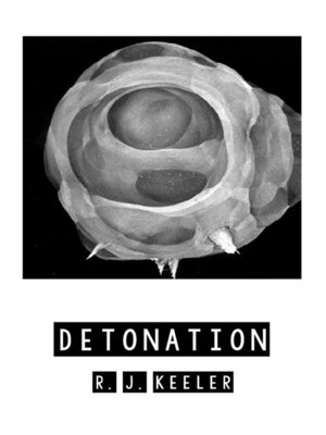 cover image of Detonation